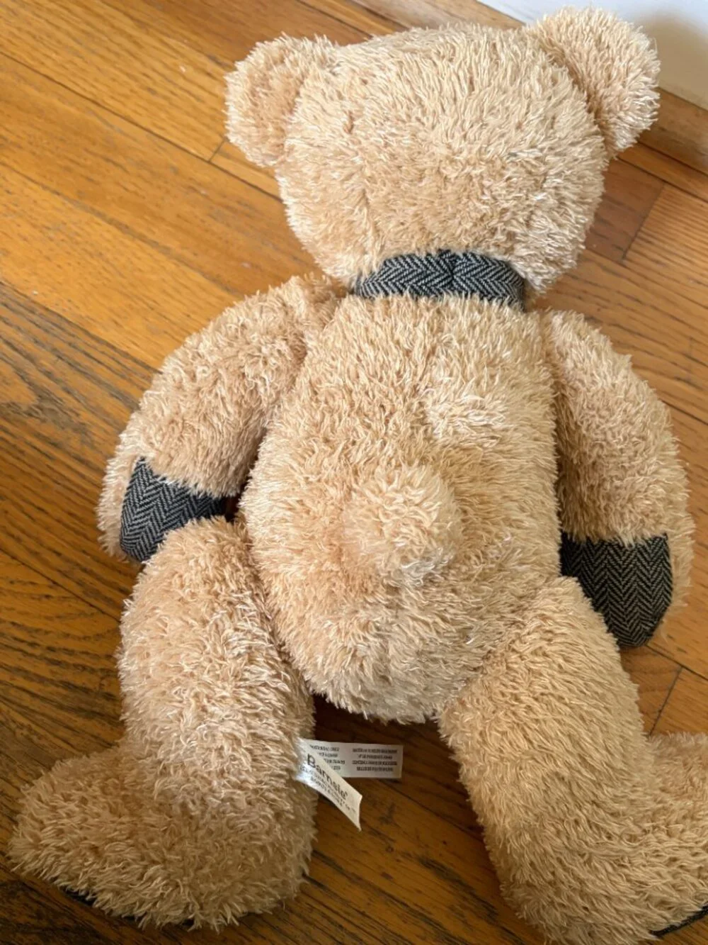 Barnes & Noble Barnsie Bear 17